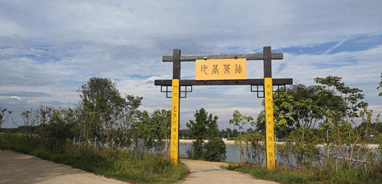 利发国际欧洲厅|Home