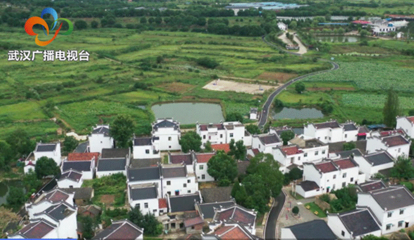 利发国际欧洲厅|Home